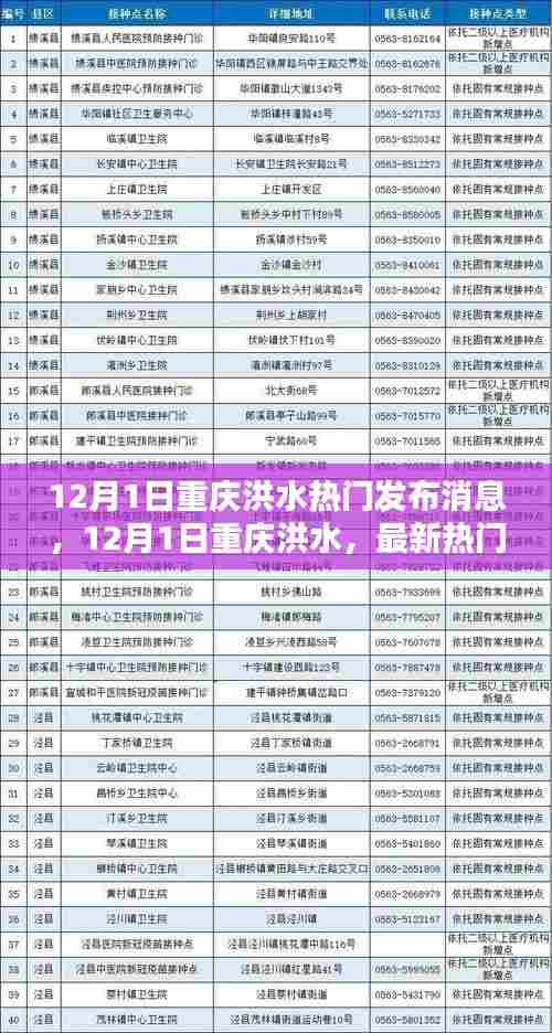 重庆洪水最新热门消息解析，洪水动态与应对举措全面关注