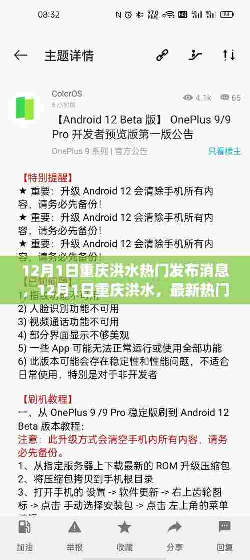 重庆洪水最新热门消息解析,洪水动态与应对举措全面关注