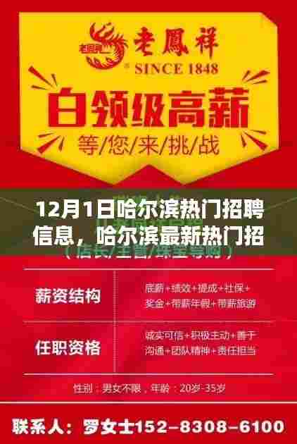 12月1日哈尔滨最新热门招聘信息汇总，快速浏览最新职位信息