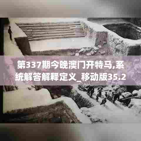 第337期今晚澳门开特马,系统解答解释定义_移动版35.200-6