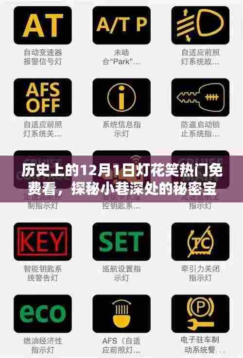 十二月一日灯花笑,探秘小巷深处的免费观影盛宴