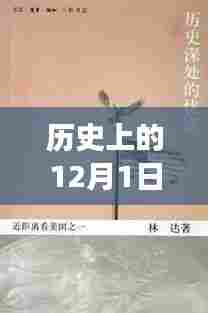 揭秘历史三角披肩钩针新图解,织梦小铺的12月1日独家分享