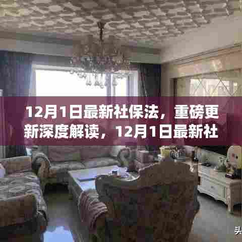 深度解读,最新社保法实施细节与影响洞察