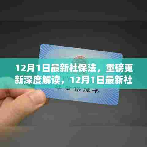 深度解读,最新社保法实施细节与影响洞察