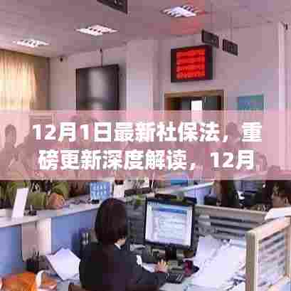 深度解读,最新社保法实施细节与影响洞察