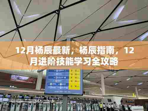 杨辰进阶指南,12月技能学习全攻略