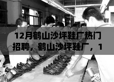 鹤山沙坪鞋厂，揭秘十二月热门招聘背后的故事与地位