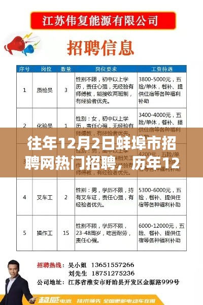 历年12月2日蚌埠市招聘网热门招聘现象深度解析与观点聚焦