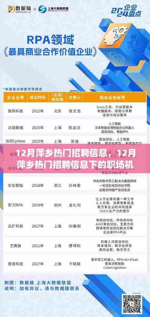 12月萍乡热门招聘信息及职场机遇与挑战概览