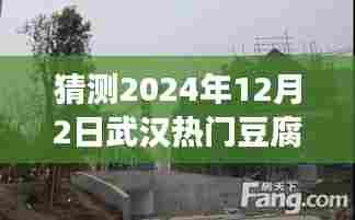 探秘武汉小巷深处的豆腐传奇,预测热门摊位转让之旅(2024年武汉豆腐摊位转让揭秘)