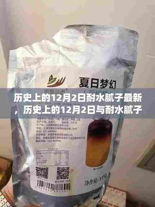 历史上的12月2日,耐水腻子的发展与深度探讨
