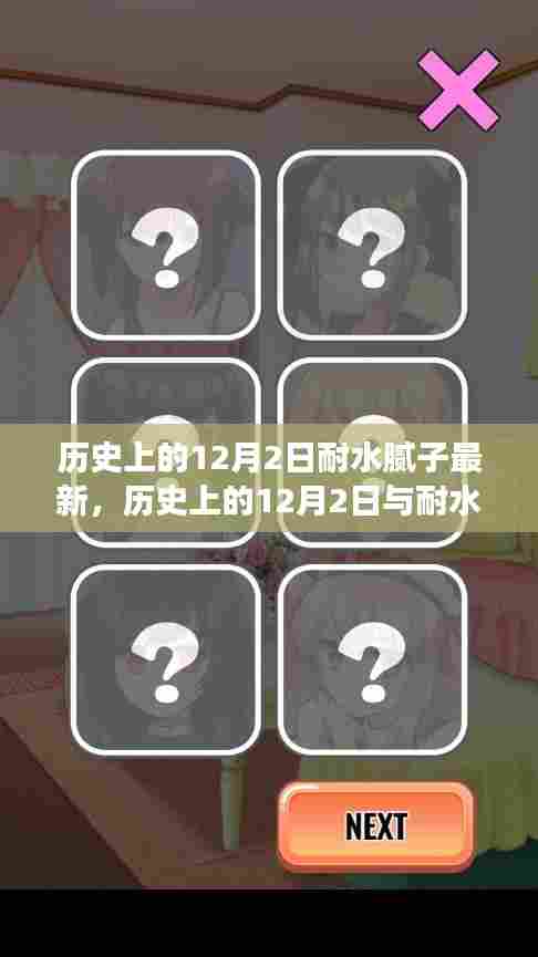 历史上的12月2日,耐水腻子的发展与深度探讨