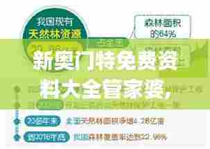 新奥门特免费资料大全管家婆,详细解读解释落实_顶级款40.430-4