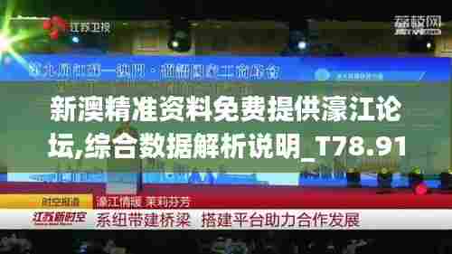 新澳精准资料免费提供濠江论坛,综合数据解析说明_T78.913-8