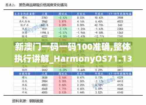 新澳门一码一码100准确,整体执行讲解_HarmonyOS71.135-3