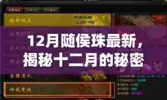 揭秘十二月秘密宝藏，随侯珠最新特色小店探秘之旅