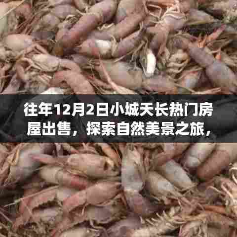 往年12月2日小城天长热门房屋出售，探索自然美景之旅，寻找内心平静之旅
