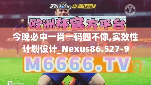今晚必中一肖一码四不像,实效性计划设计_Nexus86.527-9