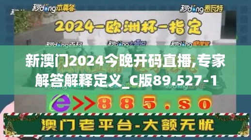 新澳门2024今晚开码直播,专家解答解释定义_C版89.527-1