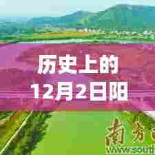 历史上的阳化高速规划新闻回顾,聚焦十二月二日的热门规划动态