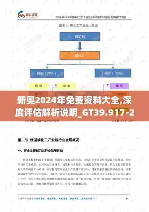 新奥2024年免费资料大全,深度评估解析说明_GT39.917-2
