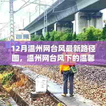 台风下的温馨日常,温州网台风路径图与欢乐时光的记录