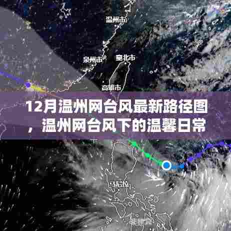 台风下的温馨日常,温州网台风路径图与欢乐时光的记录