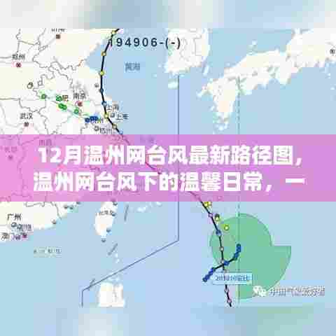 台风下的温馨日常,温州网台风路径图与欢乐时光的记录