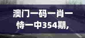澳门一码一肖一恃一中354期,高速解析方案响应_尊贵款76.217-1