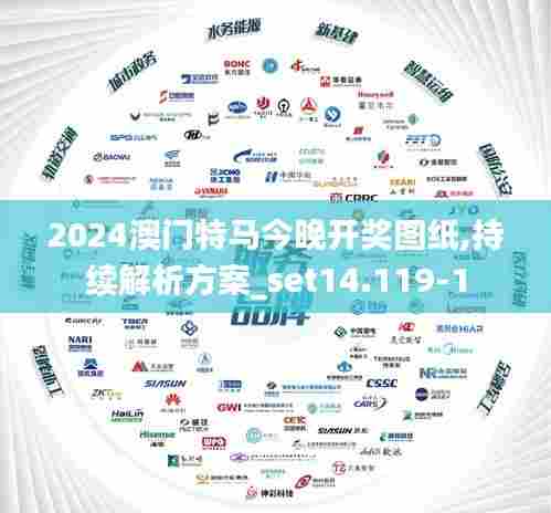 2024澳门特马今晚开奖图纸,持续解析方案_set14.119-1