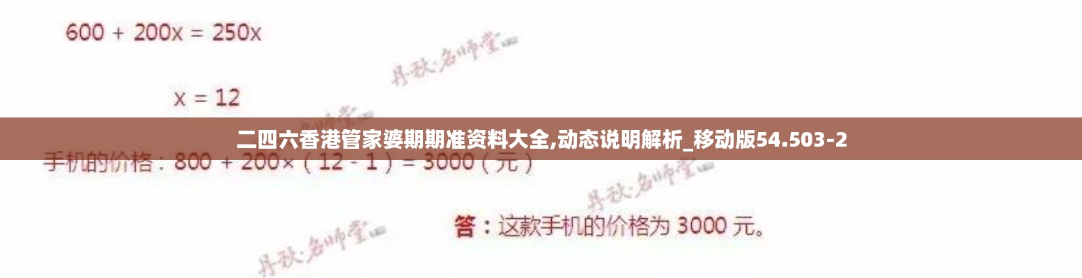 二四六香港管家婆期期准资料大全,动态说明解析_移动版54.503-2