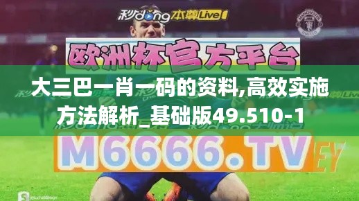 大三巴一肖一码的资料,高效实施方法解析_基础版49.510-1