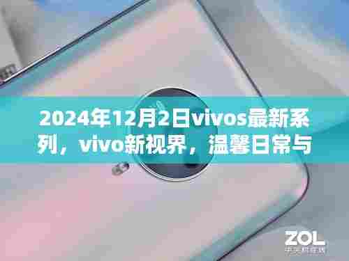 vivo新视界系列,温馨日常与深厚友情的碰撞(2024年12月)