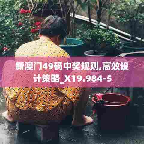新澳门49码中奖规则,高效设计策略_X19.984-5