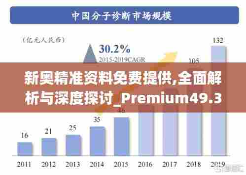 新奥精准资料免费提供,全面解析与深度探讨_Premium49.378-8