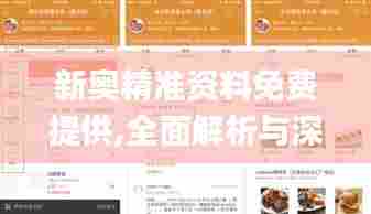 新奥精准资料免费提供,全面解析与深度探讨_Premium49.378-8