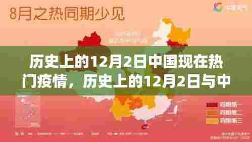 历史上的12月2日中国现在热门疫情,历史上的12月2日与中国当前热门疫情,深度分析与观察