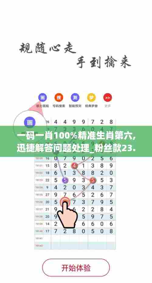 一码一肖100%精准生肖第六,迅捷解答问题处理_粉丝款23.800-2