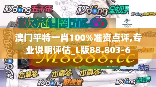 澳门平特一肖100%准资点评,专业说明评估_L版88.803-6