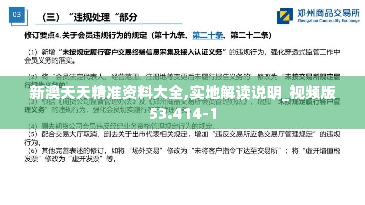 新澳天天精准资料大全,实地解读说明_视频版53.414-1