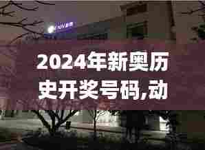 2024年新奥历史开奖号码,动态调整策略执行_QHD80.812-7