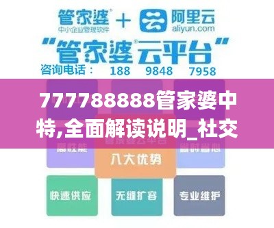 777788888管家婆中特,全面解读说明_社交版78.624-4