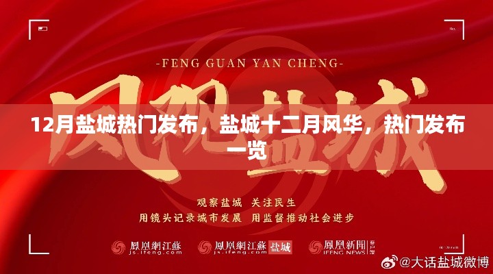 盐城十二月风华，热门发布一览