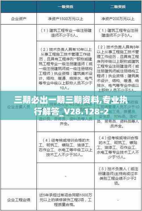三期必出一期三期资料,专业执行解答_V28.128-2