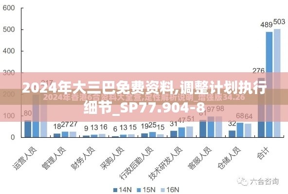 2024年大三巴免费资料,调整计划执行细节_SP77.904-8