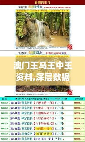 澳门王马王中王资料,深层数据设计解析_M版25.674-5