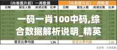 一码一肖100中码,综合数据解析说明_精英款45.705-8