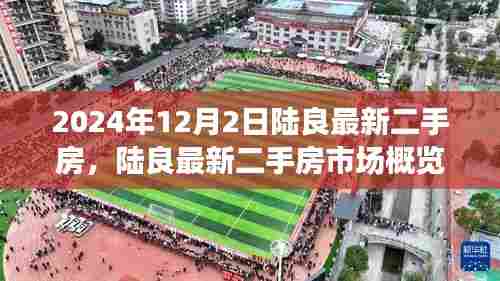 陆良最新二手房市场概览(2024年12月版,房源信息及市场动态)