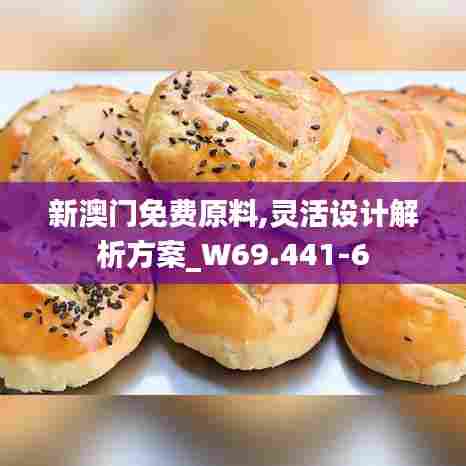 新澳门免费原料,灵活设计解析方案_W69.441-6