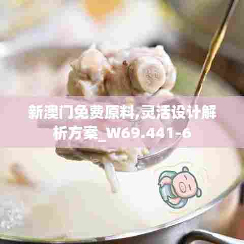 新澳门免费原料,灵活设计解析方案_W69.441-6